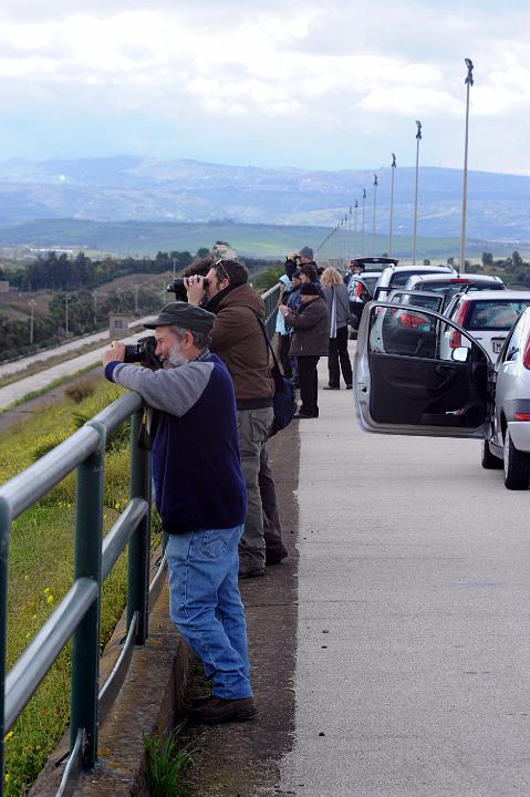 Biviere di Lentini 23.1.2011 (236).jpg